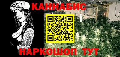 спайс Кингисепп