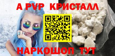 спайс Кингисепп