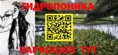 спайс Кингисепп