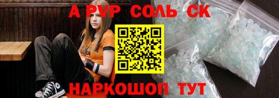 спайс Кингисепп