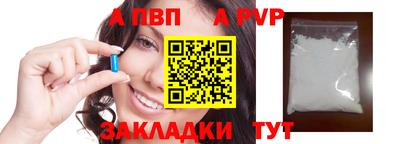 спайс Кингисепп