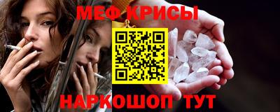 спайс Кингисепп