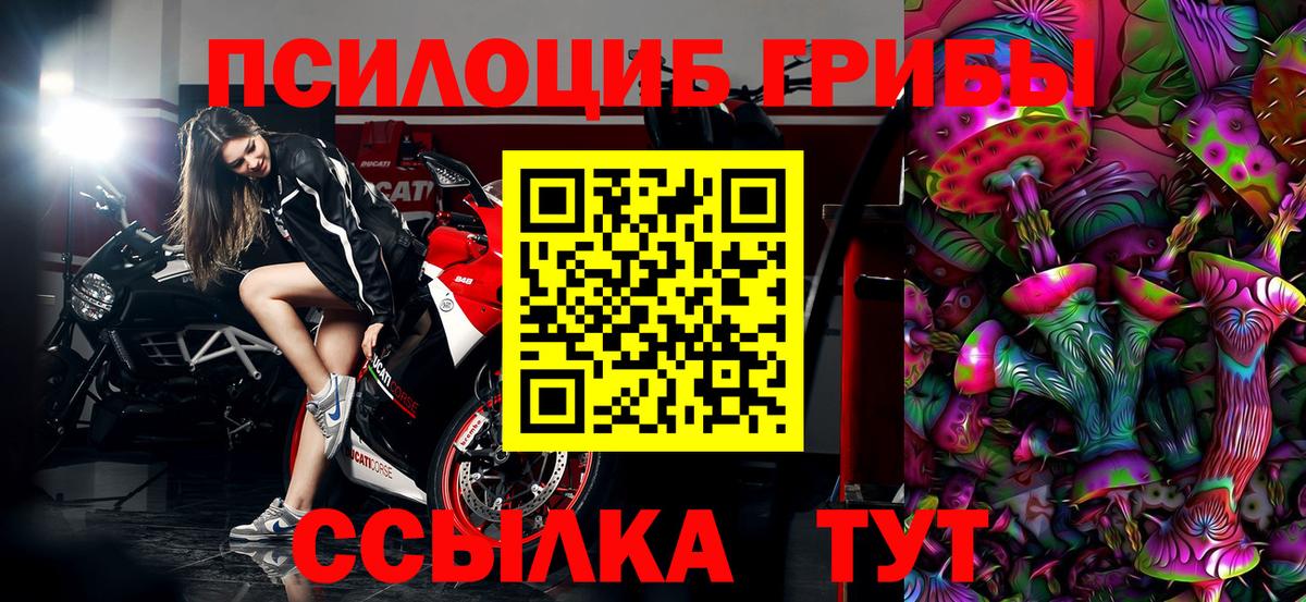 Псилоцибиновые грибы Magic Shrooms Димитровград