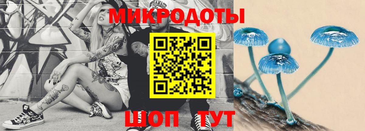 Димитровград  Галлюциногенные грибы Cubensis  Вход с VPN 